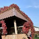 ���� �����, ������, 55 ��� - ��������� 3 ������� 2020 � ������ ������ ��������