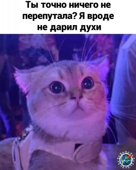  ee oe. anim aea - 3