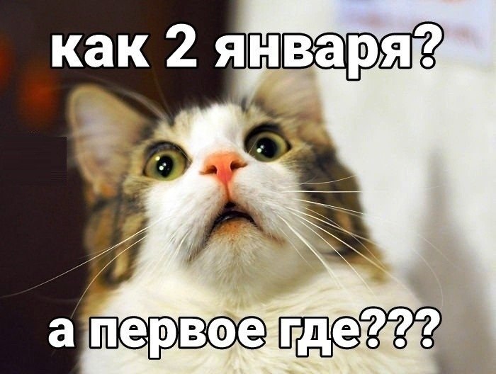  - 3  2021  03:58