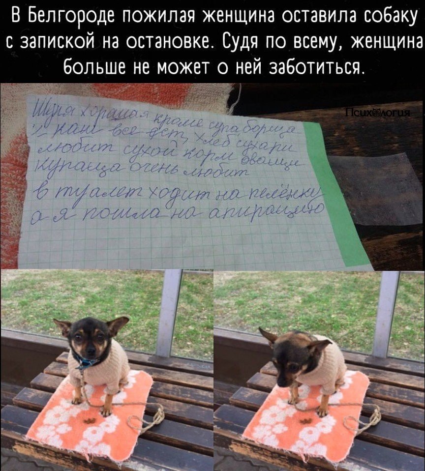 ,     !