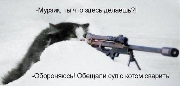    - 22  2021  14:19