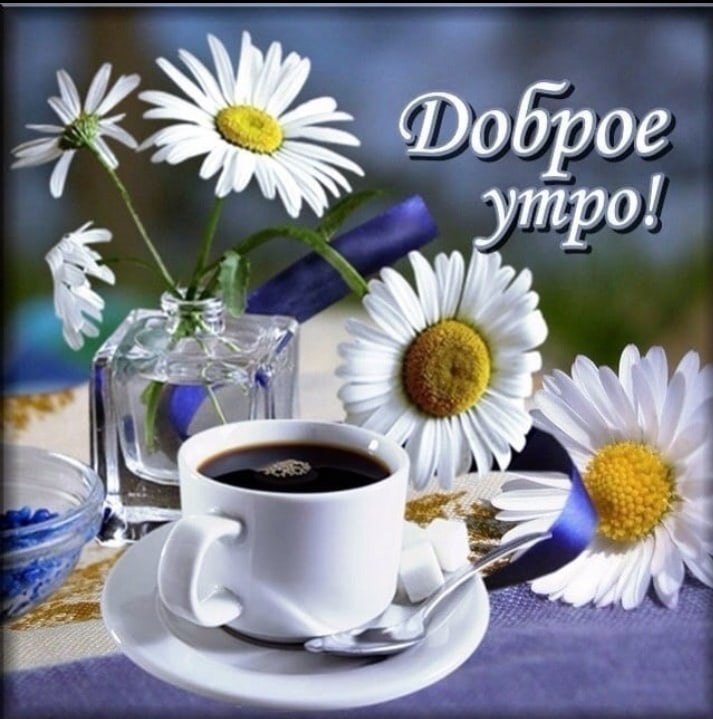   ,    . - 8  2021  21:35 - 7