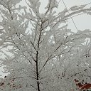 ���� ����, �����������, 50 ��� - ��������� 4 ������� 2020 � ������ ������ ��������