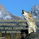 ���� ������, �����-�������, 53 ���� - ��������� 26 ������� 2020