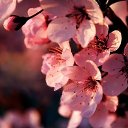 ���� ������, ������������ - ��������� 24 �������� 2020 � ������ ��������� ��������
