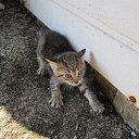 ���� ��������, ����, 59 ��� - ��������� 1 ����� 2021 � ������ ���� ����������