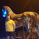 ���� ���������, ����, 57 ��� - ��������� 25 �������� 2020 � ������ ���������� ����