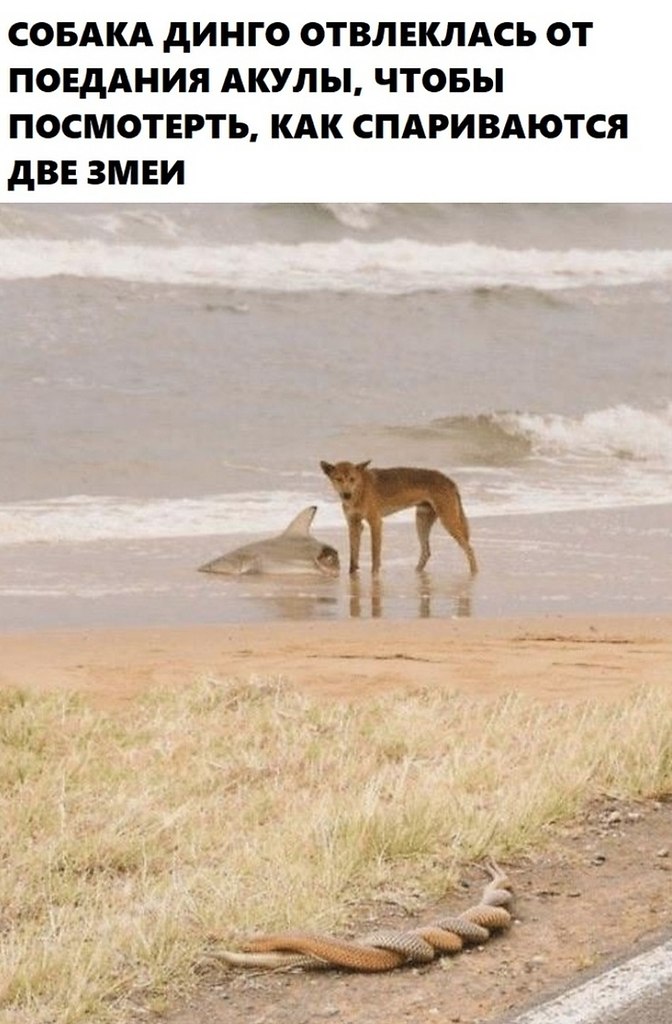   -   - 22  2020  19:01