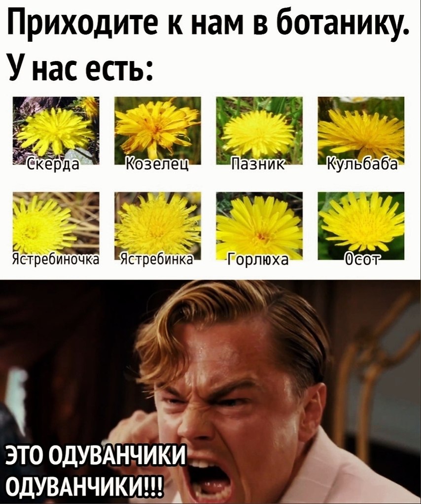 BEST | , ,  - 18  2020  19:07