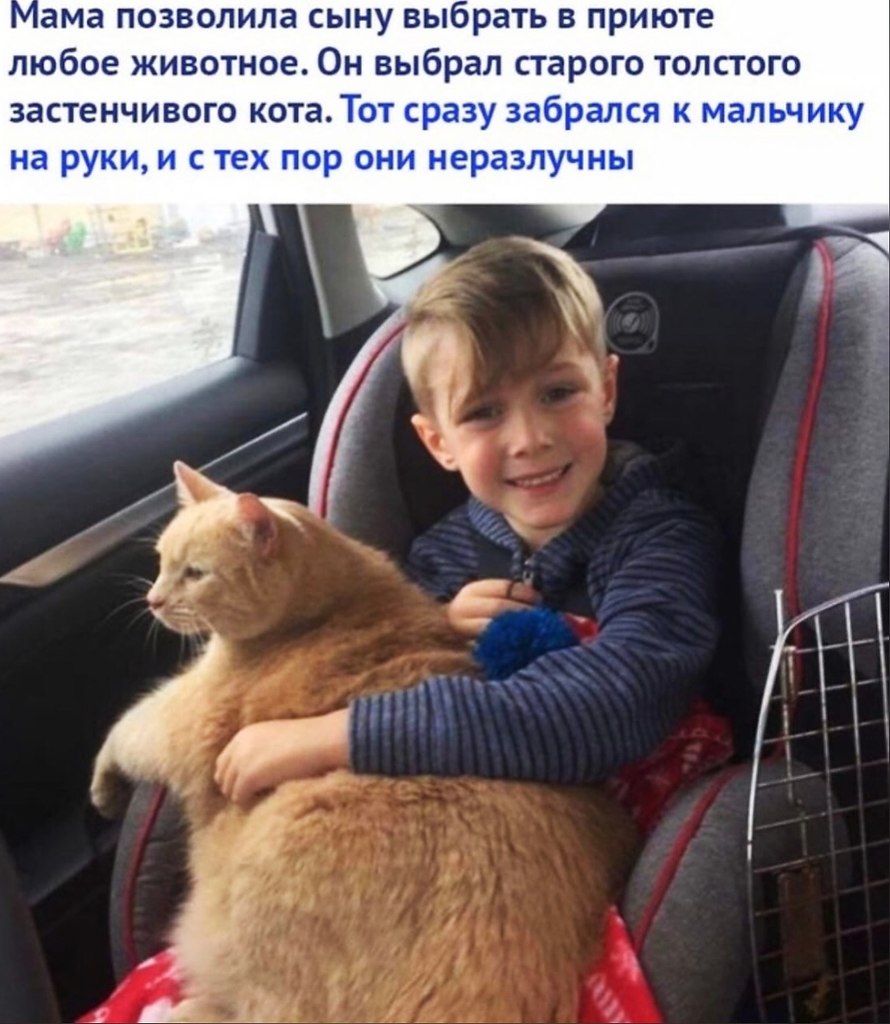 LIFE -  - 4  2020  19:02