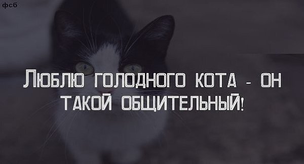    - 24  2021  04:13