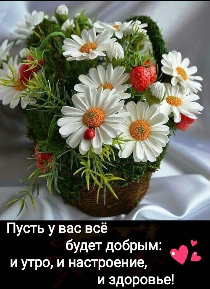 ***Victoria Viktorovna*** - 14  2020  03:52 - 2