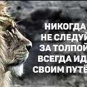 ���� Vindetto, ��������� - ��������� 14 ������� 2020 � ������ ������ ��������