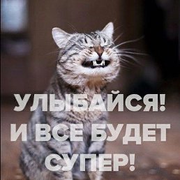���� ., ���������, 33 ����