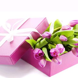 �, �����������, 48 ���