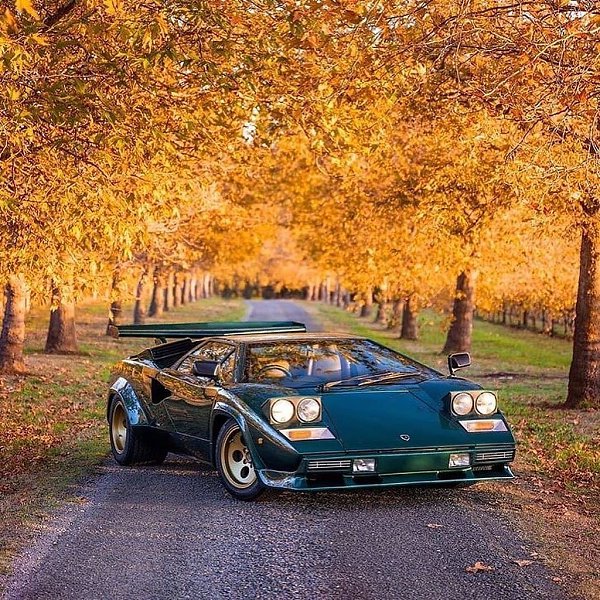 #Lamborghini@autocult