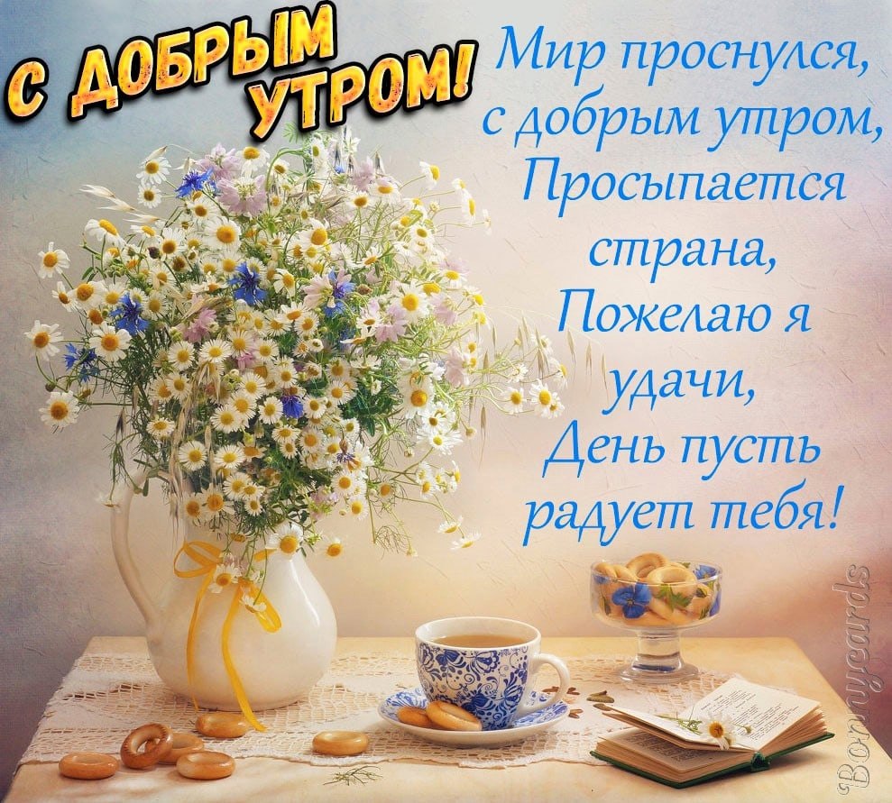   ,    . - 8  2021  21:35 - 8