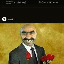 �������, ��������, 49 ���