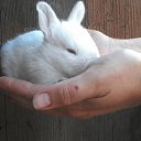 ���� �����, ������, 52 ���� - ��������� 13 ������� 2020 � ������ ���� ����������