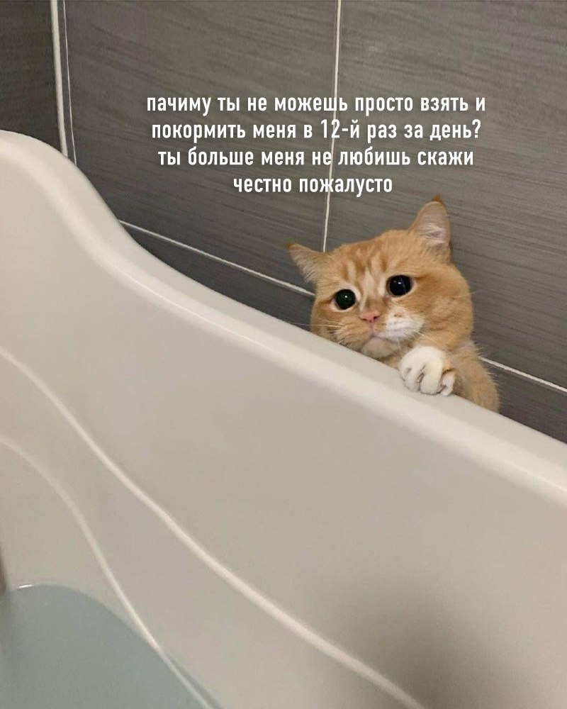        ,       - 2