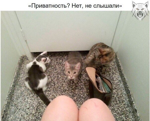      )) - 6