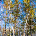 ���� ��������, �����������, 76 ��� - ��������� 6 ������� 2021 � ������ ���� ����������