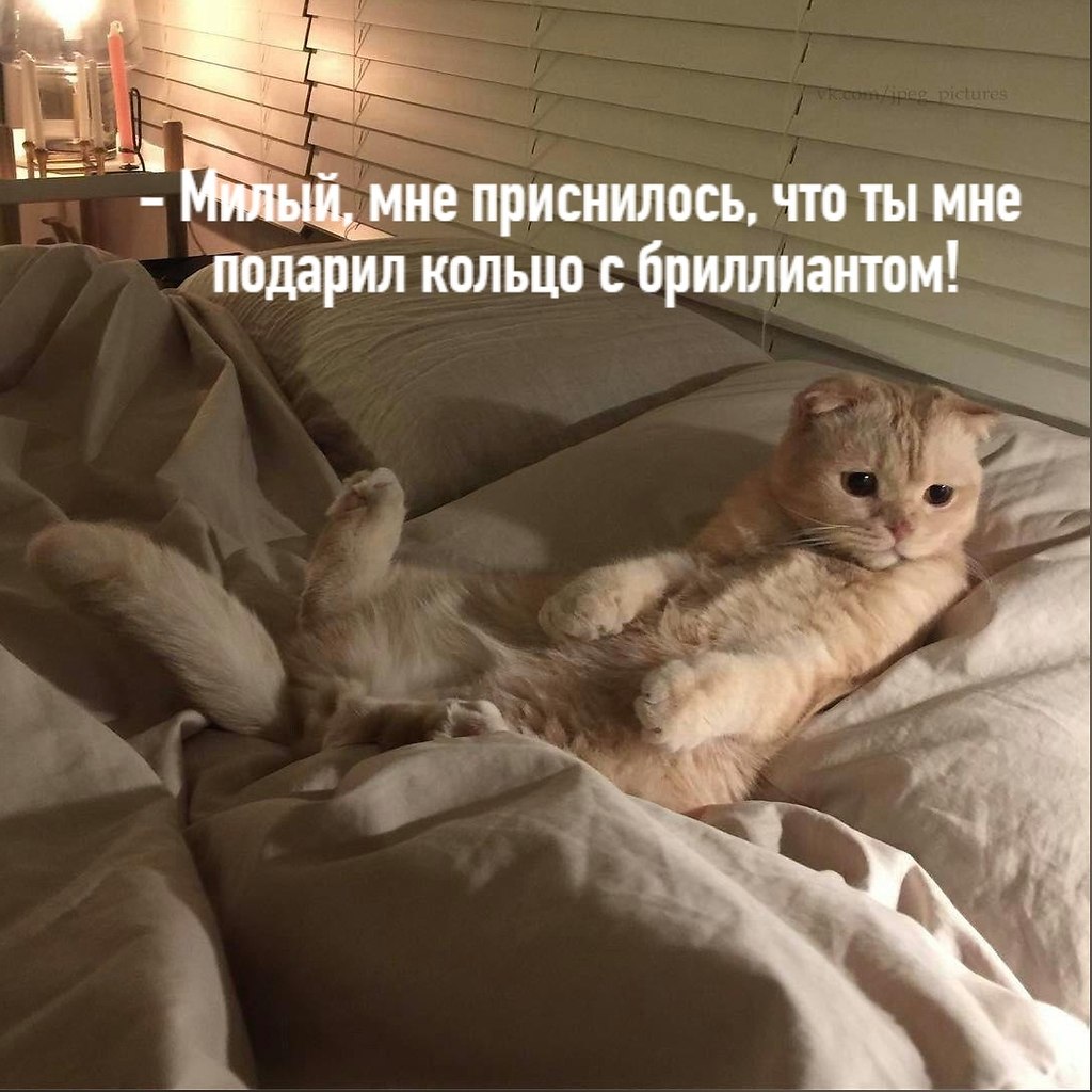       - 18  2020  18:42