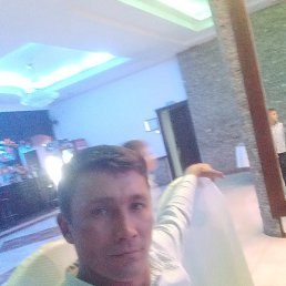 ������, ���������, 41 ���