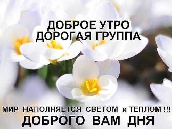  ,    . - 30  2021  21:15 - 2