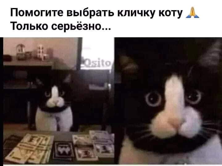  - 6  2021  02:32 - 4