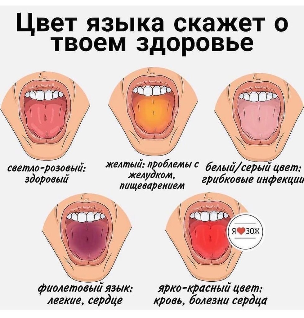  | ,  - 15  2020  19:01