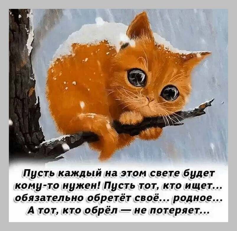 e Mopoa e.  ce e a. Mo oa cyae a coe. Bop  o poco: o, o. Coo ...