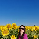 ���� �����, ������� �������� - ��������� 31 ������� 2020 � ������ ���� ����������