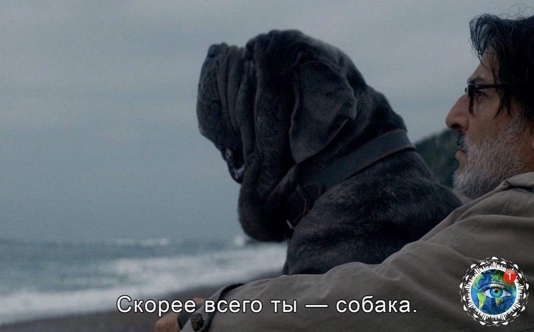 gratplant. - 5