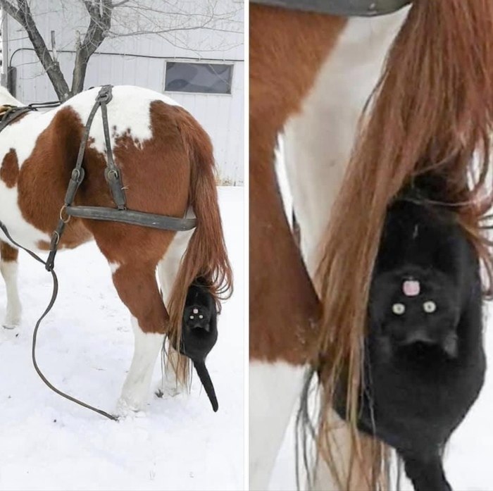     =)))