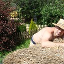  , , 42  -  28  2020    2020