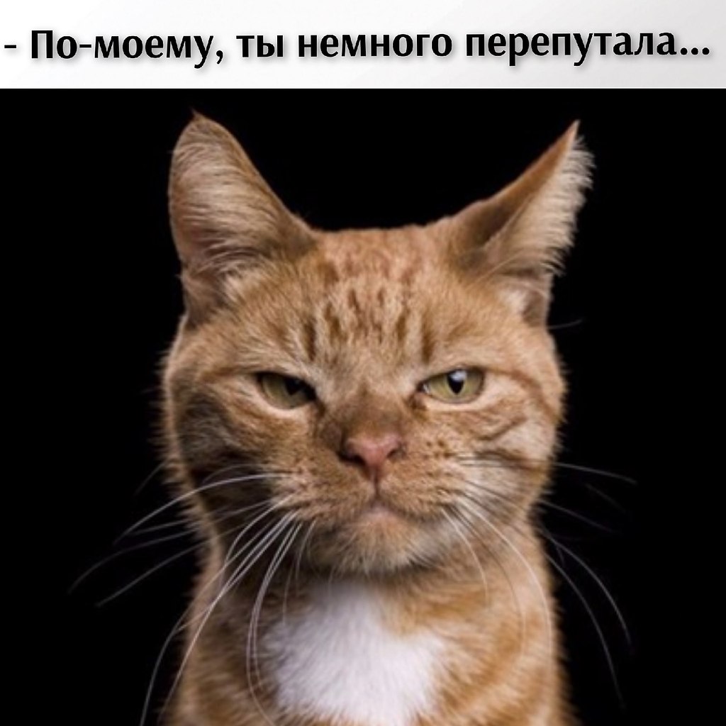       - 18  2021  11:54 - 2