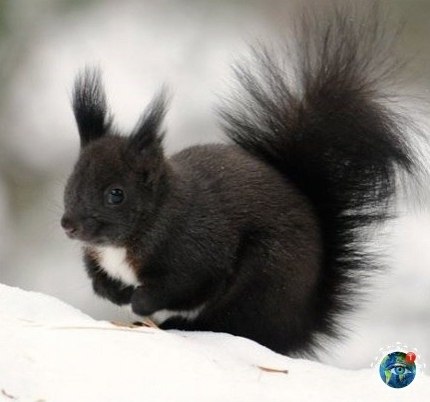 �e�o���-�paca����.������� - 2