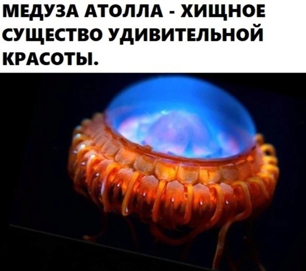BEST | , ,  - 28  2020  19:07