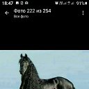  , , 45  -  14  2020    