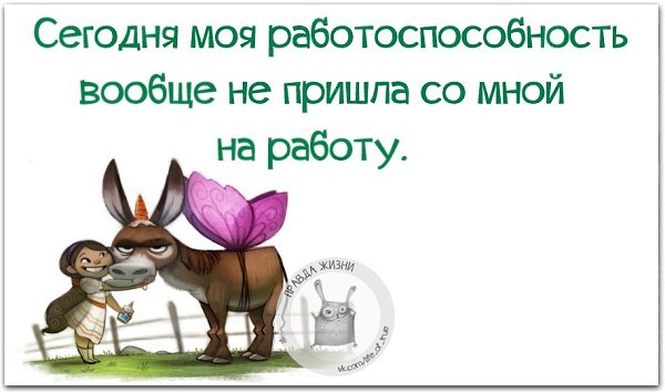   - 19  2021  20:44