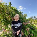 ���� ����, �����������, 71 ��� - ��������� 28 �������� 2020 � ������ ���� ����