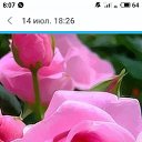 ���� �����, ���� - ��������� 28 �������� 2020 � ������ ���� ����������