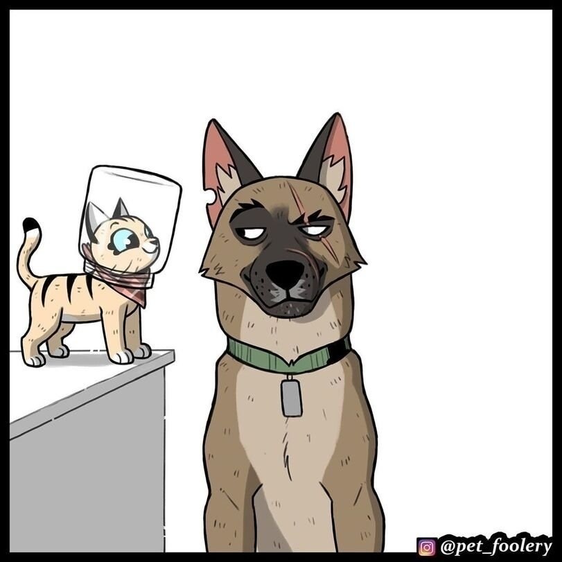        ,   ..   100%  - 7