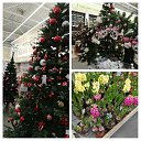  , -, 54  -  26  2020    