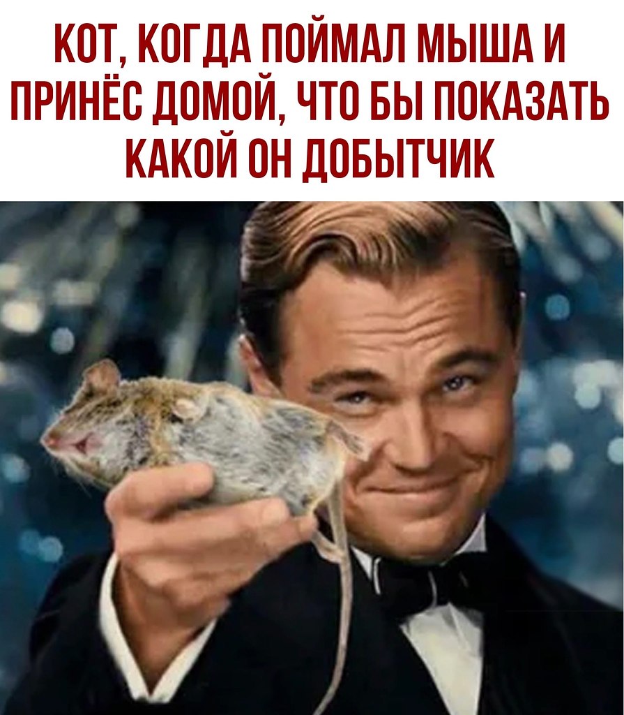  - 8  2020  18:41