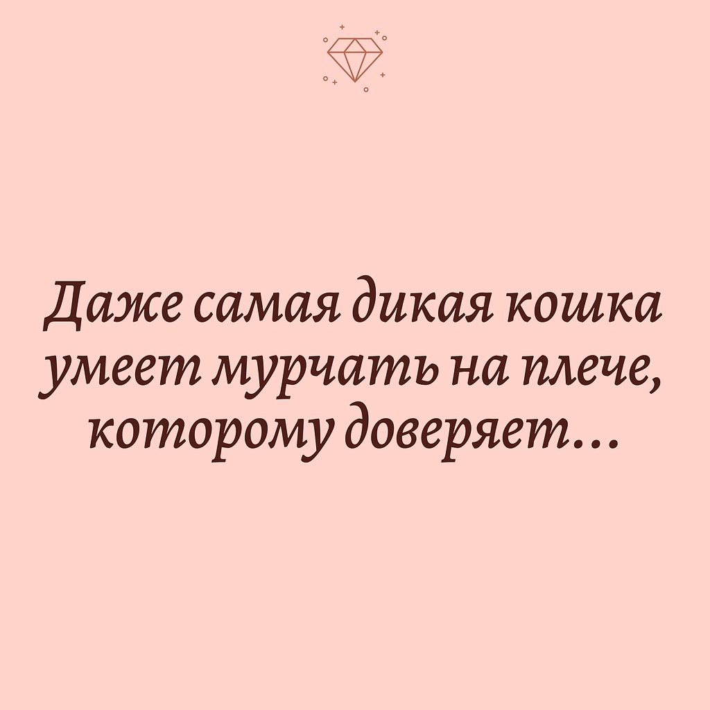 ,    - 19  2021  13:31