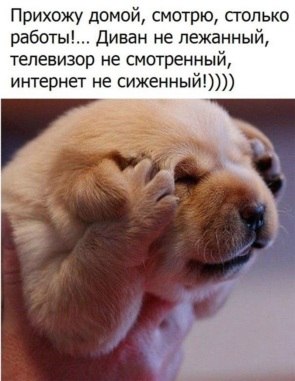   ! - 3  2020  08:30