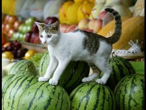 Фото из записи:
