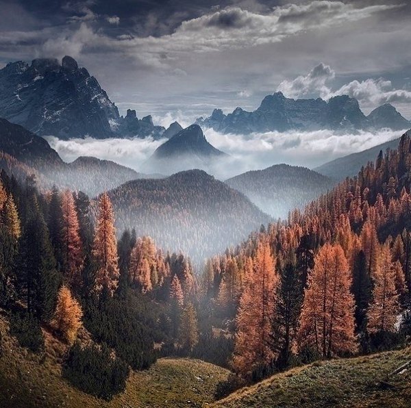 Внутренняя сила — это способность уважать чужую музыку, но танцевать под собственную мелодию и ...